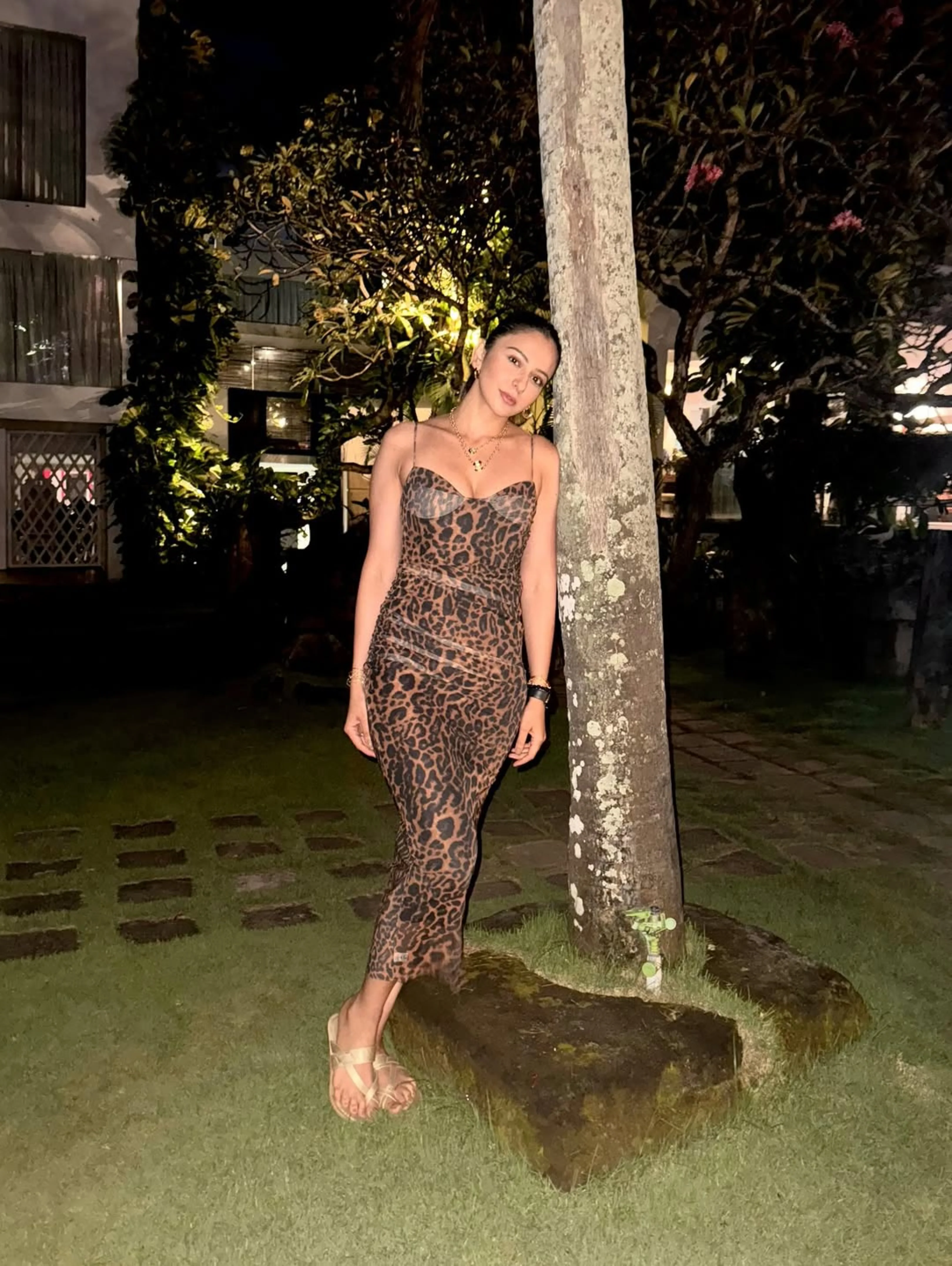 Leopard Print Bodycon Midi Dress In Brown - Image 2
