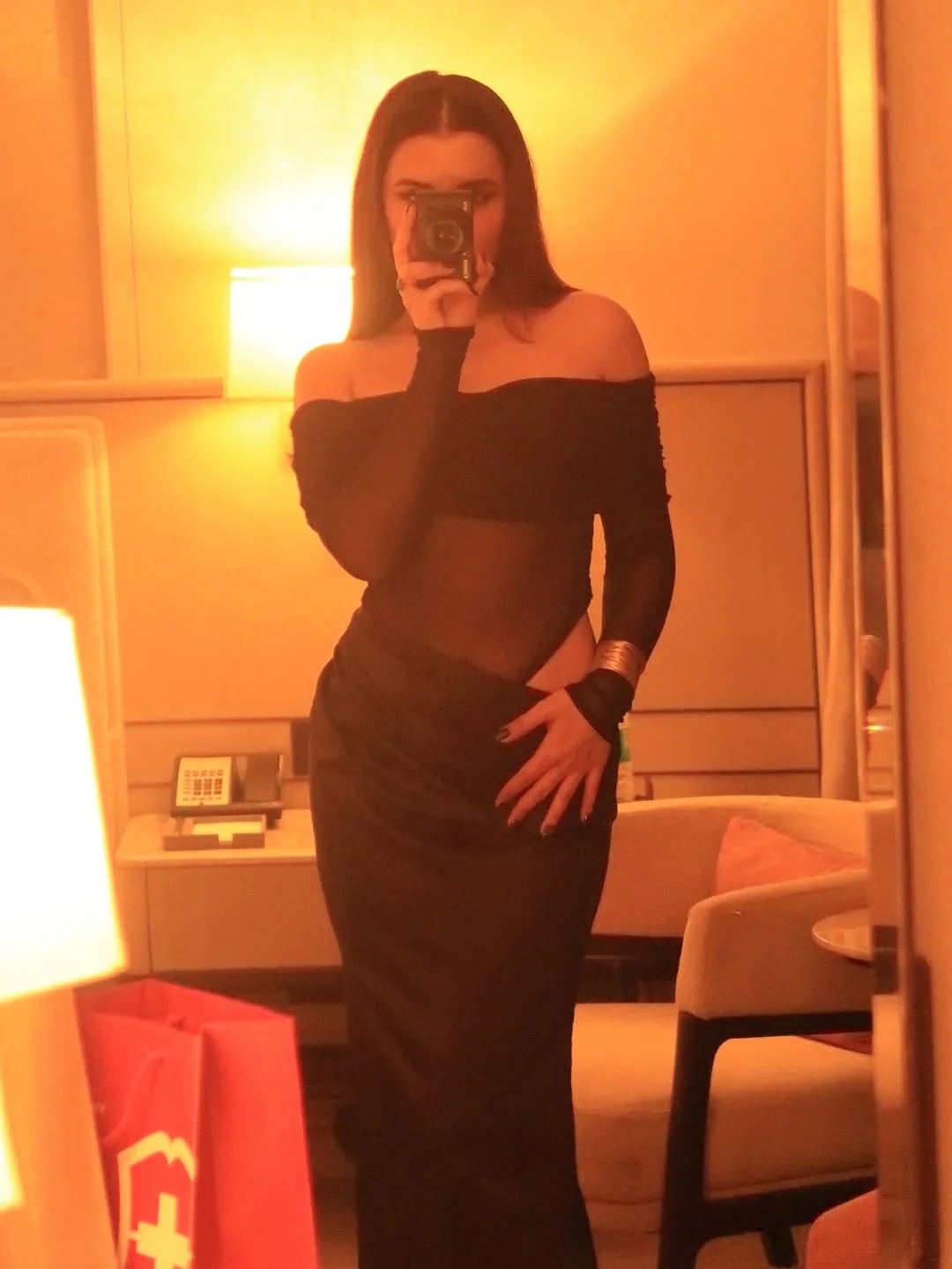 Lerica Bodycon Mesh Dress In Black - Image 4