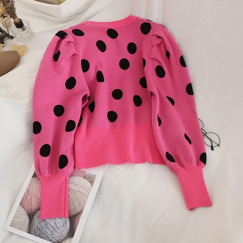 Polka Fanatic Sweaters - Image 4