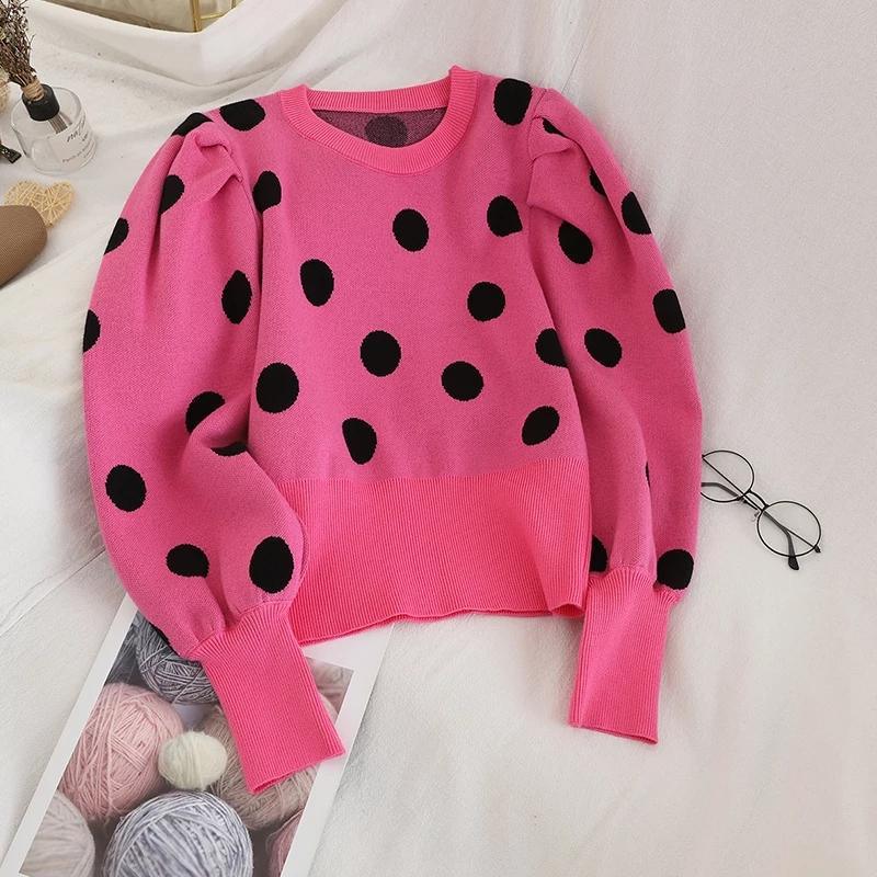Polka Fanatic Sweaters - Image 6